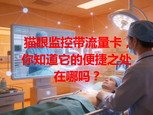 猫眼监控带流量卡，你知道它的便捷之处在哪吗？