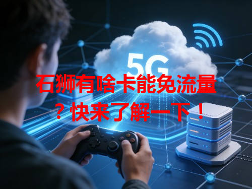石狮有啥卡能免流量？快来了解一下！