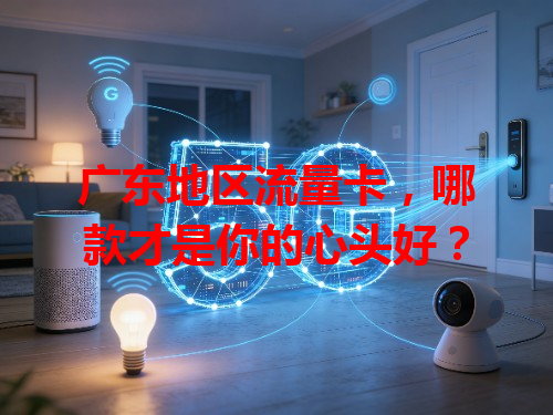 广东地区流量卡，哪款才是你的心头好？