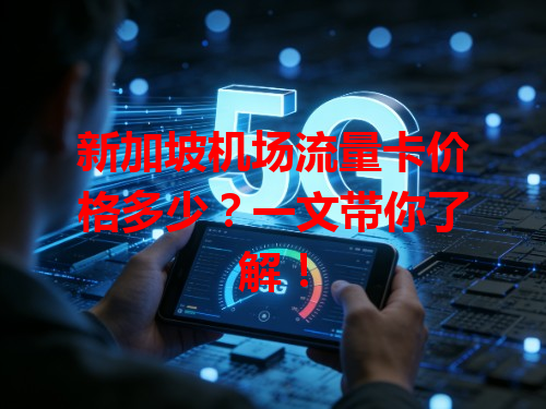 新加坡机场流量卡价格多少？一文带你了解！