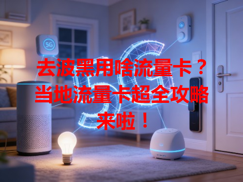 去波黑用啥流量卡？当地流量卡超全攻略来啦！