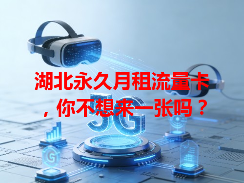 湖北永久月租流量卡，你不想来一张吗？