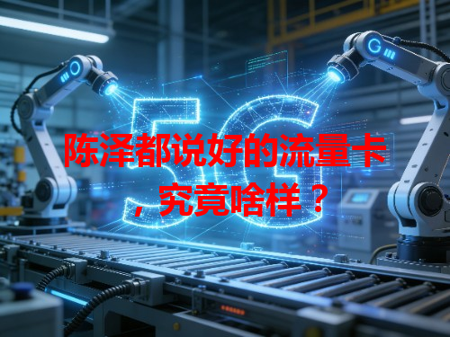 陈泽都说好的流量卡，究竟啥样？