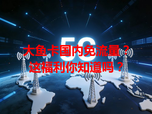 大鱼卡国内免流量？这福利你知道吗？