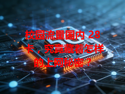 校园流量国内 28 卡，究竟藏着怎样的上网秘密？
