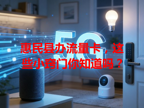 惠民县办流量卡，这些小窍门你知道吗？