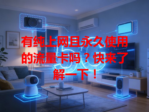 有纯上网且永久使用的流量卡吗？快来了解一下！
