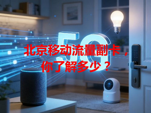 北京移动流量副卡，你了解多少？