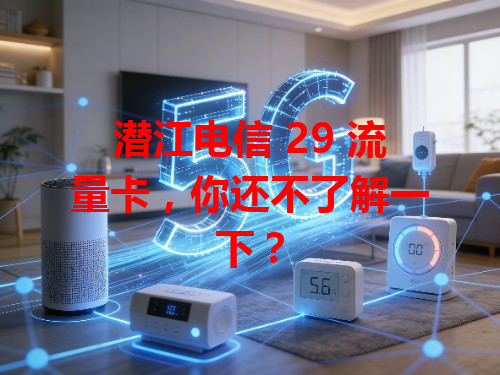 潜江电信 29 流量卡，你还不了解一下？