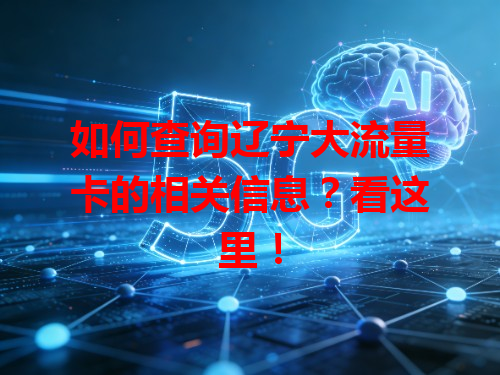 如何查询辽宁大流量卡的相关信息？看这里！