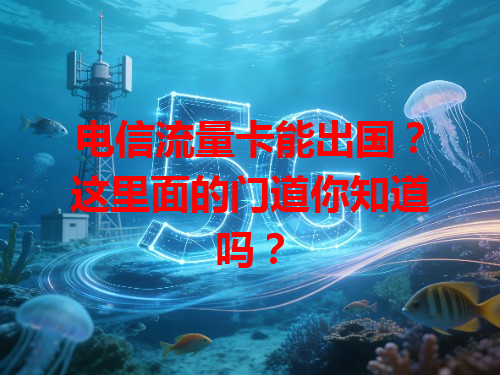 电信流量卡能出国？这里面的门道你知道吗？