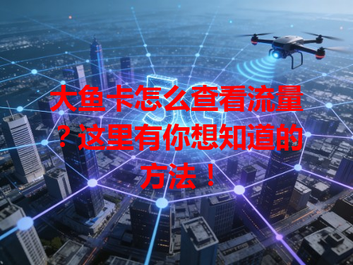 大鱼卡怎么查看流量？这里有你想知道的方法！