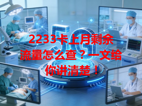 2233卡上月剩余流量怎么查?一文给你讲清楚!
