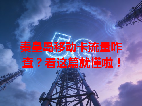 秦皇岛移动卡流量咋查？看这篇就懂啦！