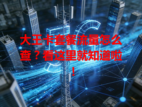 大王卡套餐流量怎么查？看这里就知道啦！