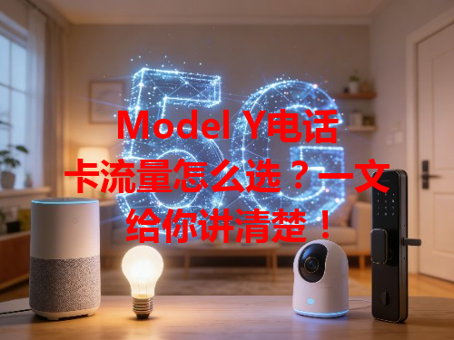Model Y电话卡流量怎么选？一文给你讲清楚！