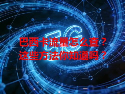 巴西卡流量怎么查？这些方法你知道吗？