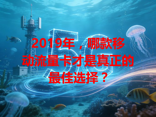 2019年，哪款移动流量卡才是真正的最佳选择？