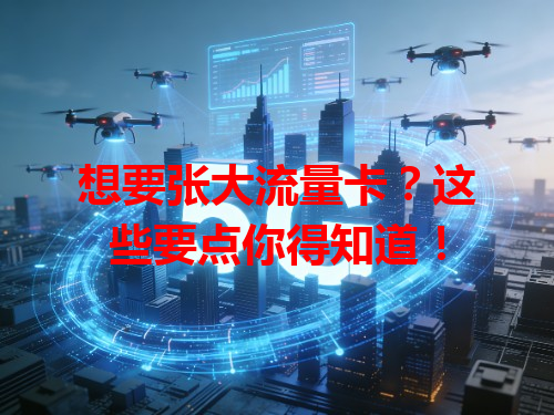 想要张大流量卡？这些要点你得知道！