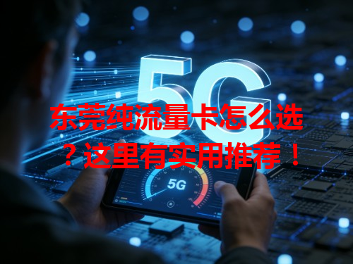东莞纯流量卡怎么选？这里有实用推荐！