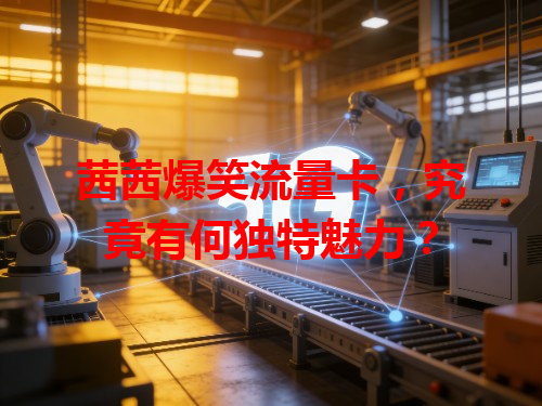 茜茜爆笑流量卡，究竟有何独特魅力？