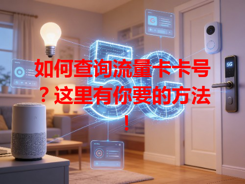 如何查询流量卡卡号？这里有你要的方法！