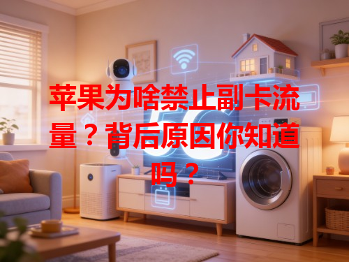 苹果为啥禁止副卡流量？背后原因你知道吗？