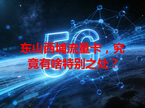 东山西埔流量卡，究竟有啥特别之处？