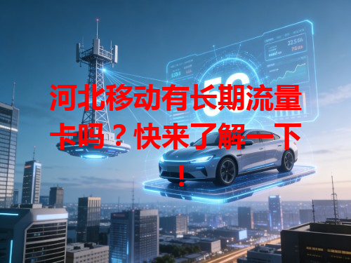 河北移动有长期流量卡吗？快来了解一下！