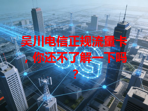 吴川电信正规流量卡，你还不了解一下吗？