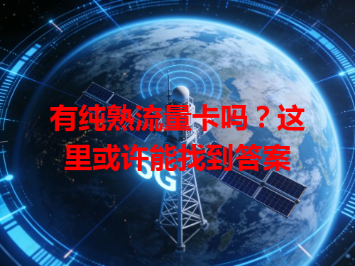 有纯熟流量卡吗？这里或许能找到答案