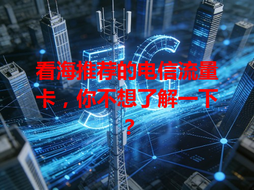 看海推荐的电信流量卡,你不想了解一下?