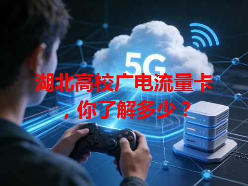湖北高校广电流量卡，你了解多少？
