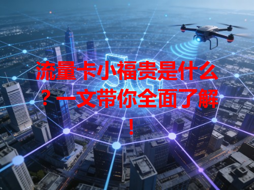流量卡小福贵是什么？一文带你全面了解！