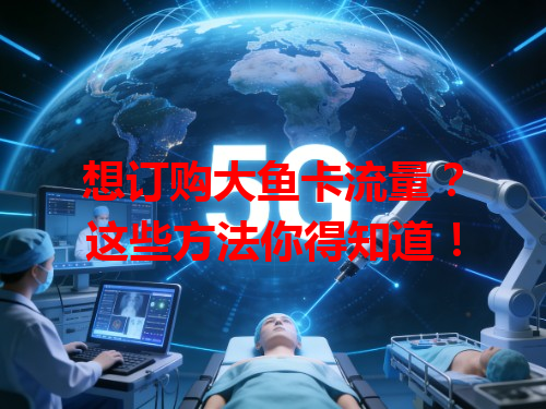 想订购大鱼卡流量？这些方法你得知道！