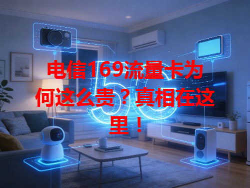 电信169流量卡为何这么贵？真相在这里！