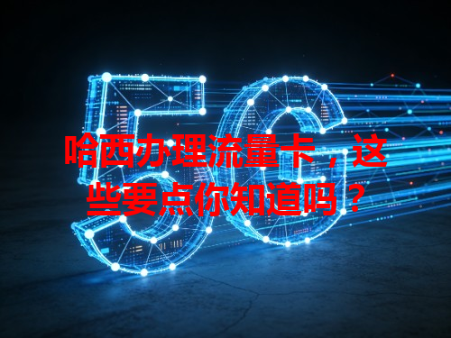 哈西办理流量卡，这些要点你知道吗？