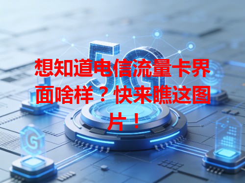 想知道电信流量卡界面啥样？快来瞧这图片！