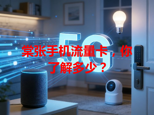 棠张手机流量卡，你了解多少？