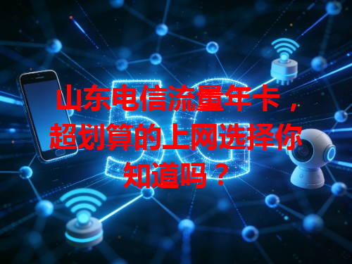 山东电信流量年卡,超划算的上网选择你知道吗?