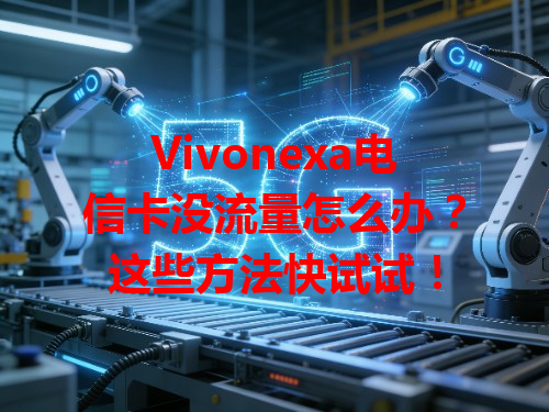 Vivonexa电信卡没流量怎么办？这些方法快试试！