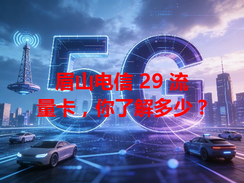 眉山电信 29 流量卡，你了解多少？