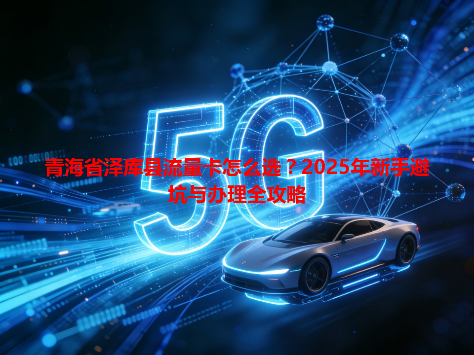 青海省泽库县流量卡怎么选？2025年新手避坑与办理全攻略