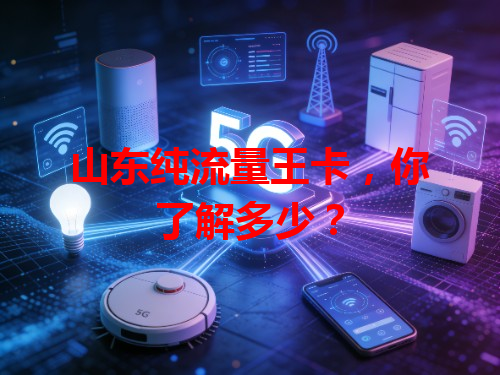 山东纯流量王卡，你了解多少？