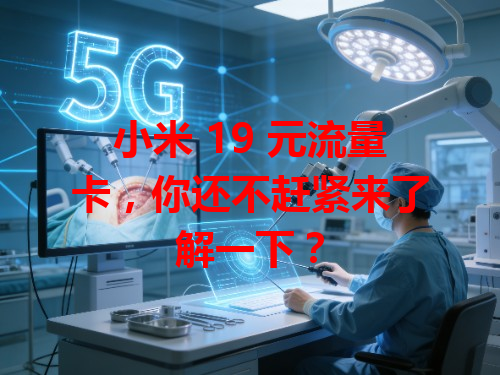小米 19 元流量卡，你还不赶紧来了解一下？