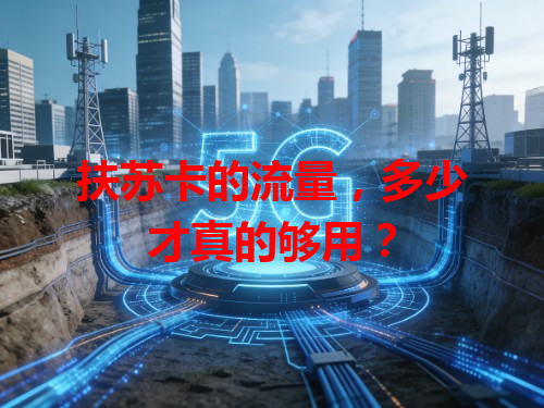 扶苏卡的流量，多少才真的够用？