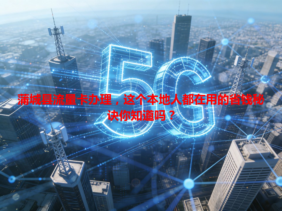蒲城县流量卡办理，这个本地人都在用的省钱秘诀你知道吗？