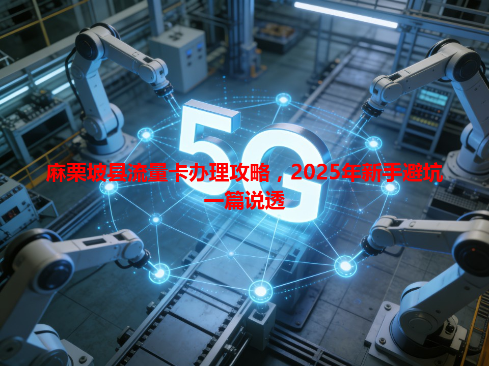 麻栗坡县流量卡办理攻略，2025年新手避坑一篇说透