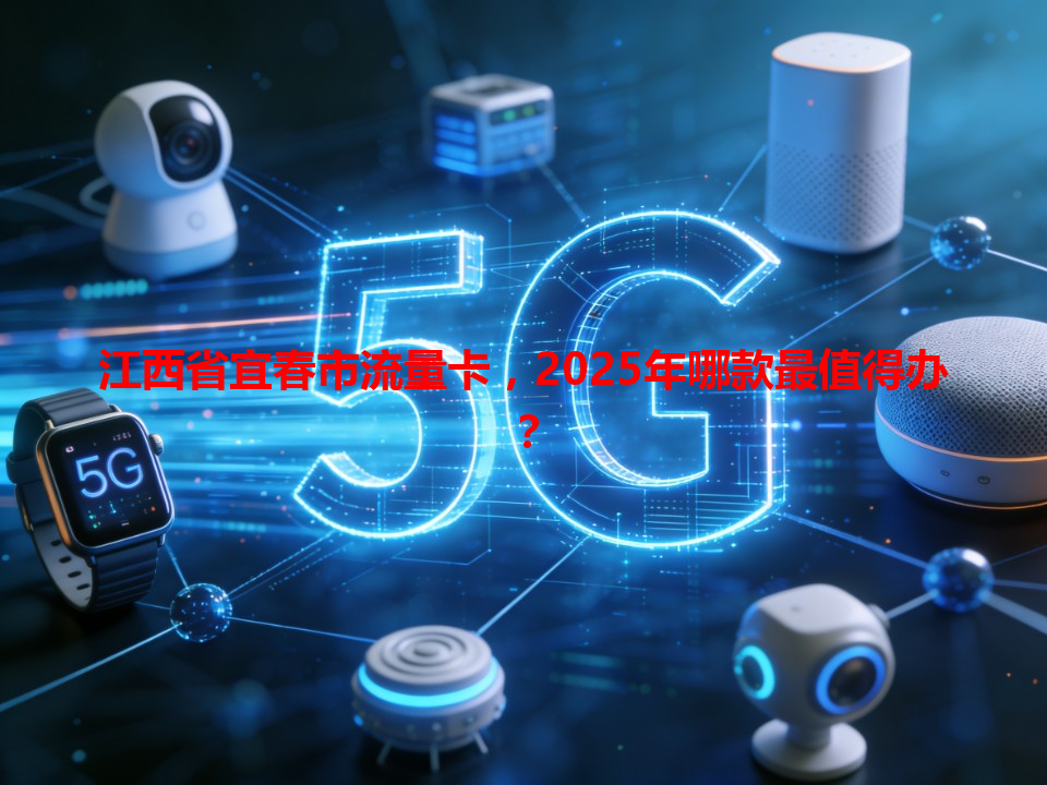 江西省宜春市流量卡，2025年哪款最值得办？