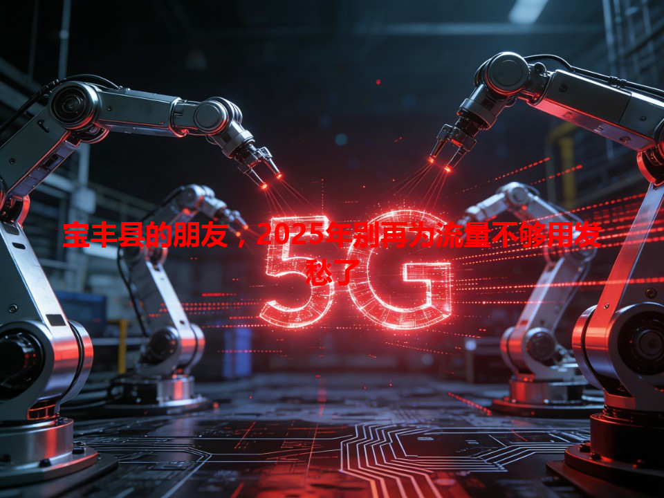 宝丰县的朋友，2025年别再为流量不够用发愁了